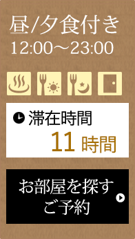 昼/夕食付き12:00～23:00 滞在時間11時間
