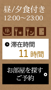 昼/夕食付き12:00～23:00 滞在時間11時間